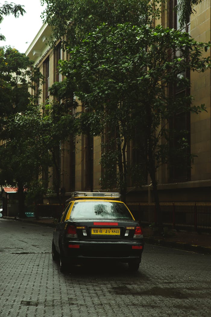 A lone taxi on a tree-lined urban street, creating a serene cityscape.